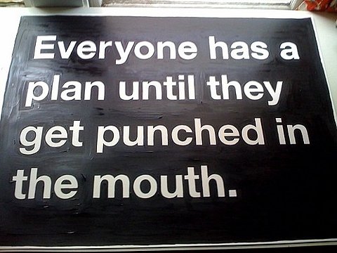 Everyone Has A Plan Until they Get Punched in the Mouth