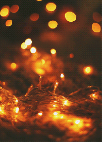 Christmas Lights [cinemagraph]