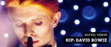 David Bowie Gallery of Iconic